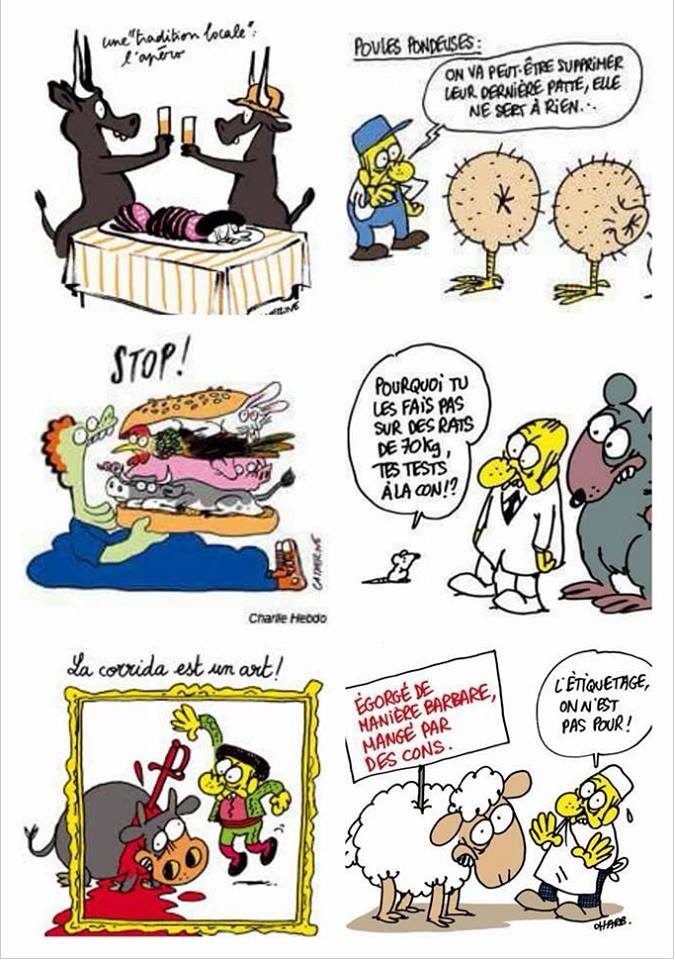 Dessins de Charlie Hebdo