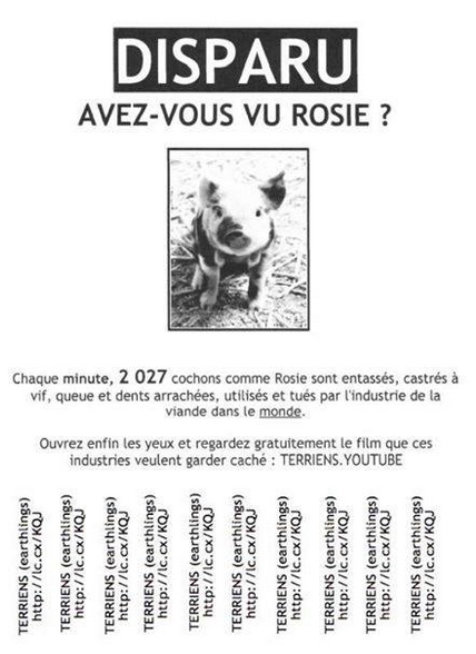Annonce : avez-vous vu Rosie ?