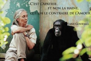 Citation Jane Goodall