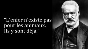 "L'enfer n'existe pas pour les animaux. Ils y sont déjà." Hugo