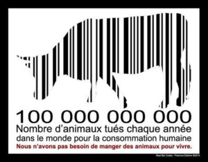 100 000 000 000 : nombre d'animaux tués chaque année dans le monde pour la consommation humaine