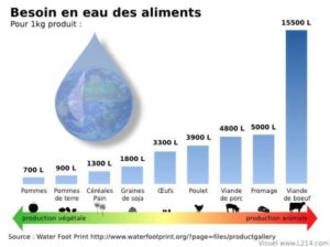 Besoins en eau des aliments végétarien vegan