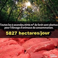 Végétarien vegan consommation de viande