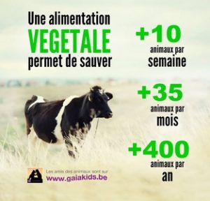 Alimentation végétale