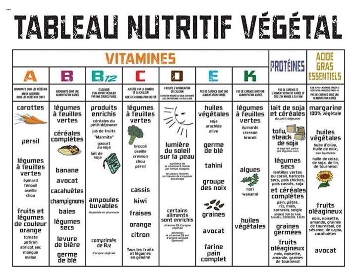 Tableau nutritif végétal