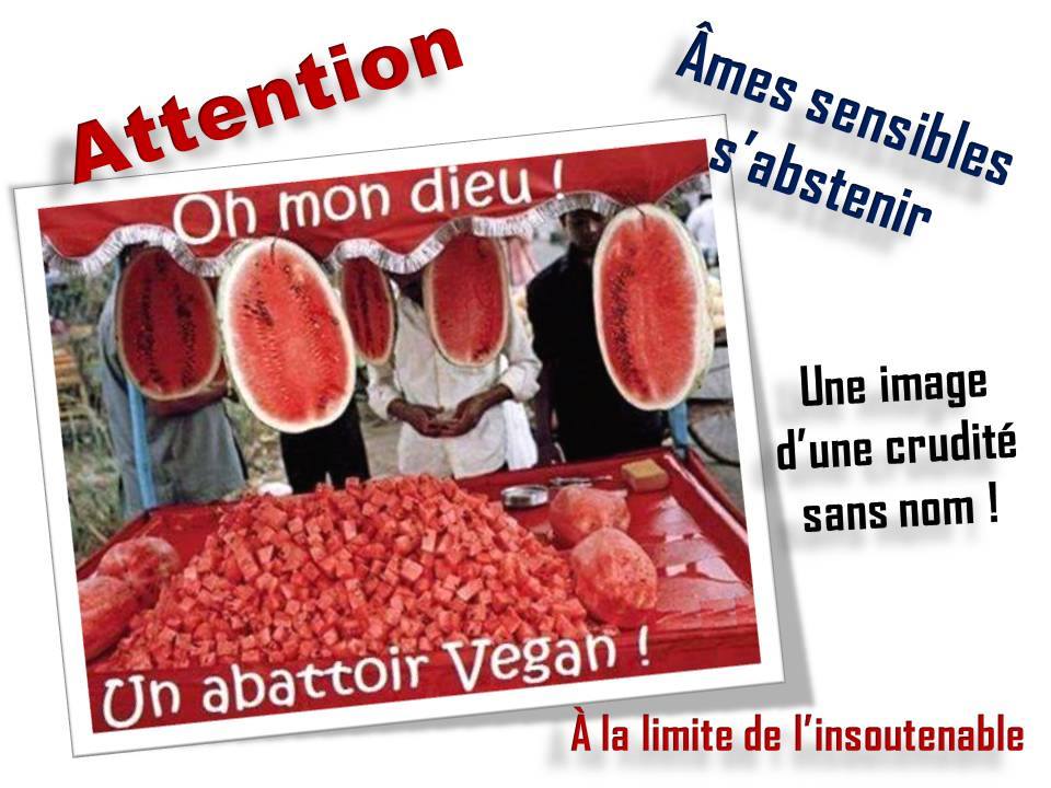 Abattoir végane