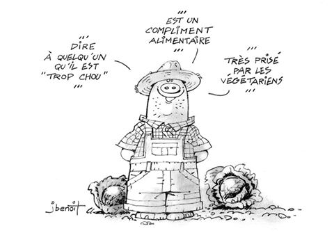 Compliment alimentaire