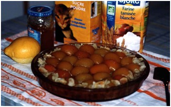 Gâteau abricots amandes