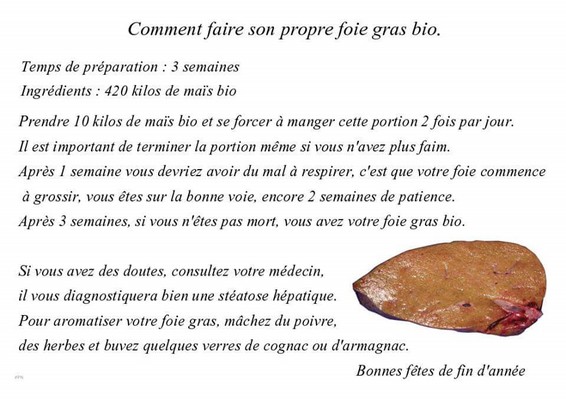 Foie gras bio