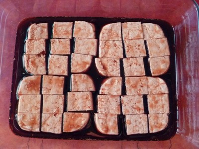 Tofu mariné